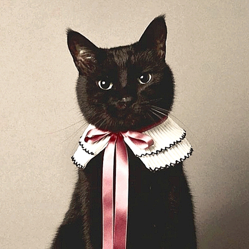 Welcome to my closet!